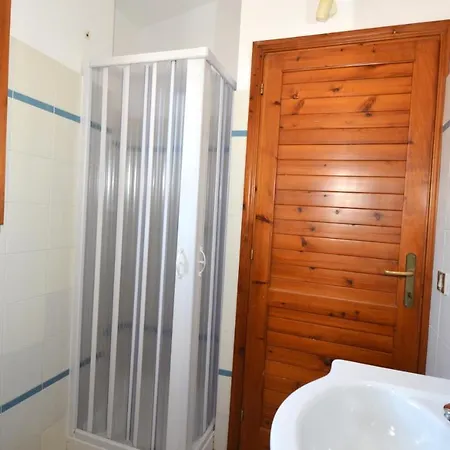 Cormorano * San Teodoro (Sardinia)