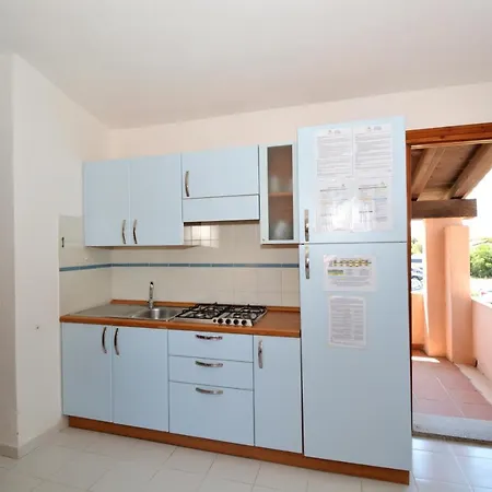 Cormorano * San Teodoro (Sardinia)