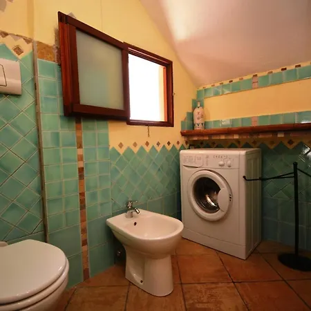 Cormorano * San Teodoro (Sardinia)