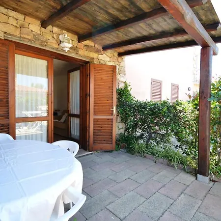 Cormorano * San Teodoro (Sardinia)