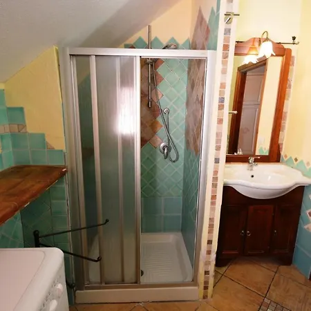 Cormorano * San Teodoro (Sardinia)